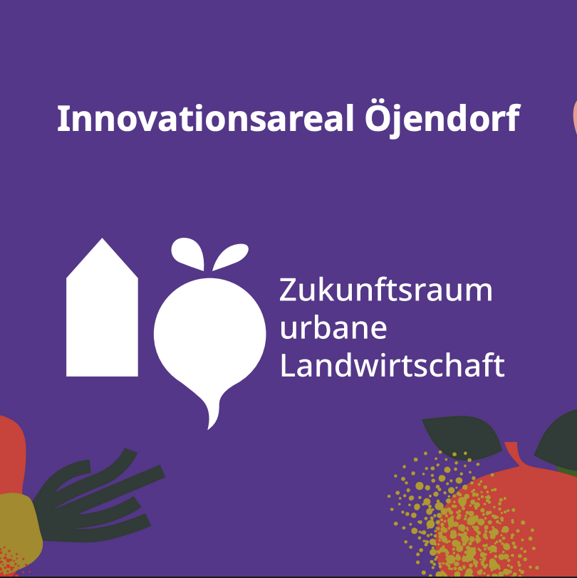 1. Vernetzungstreffen: Online-Veranstaltung